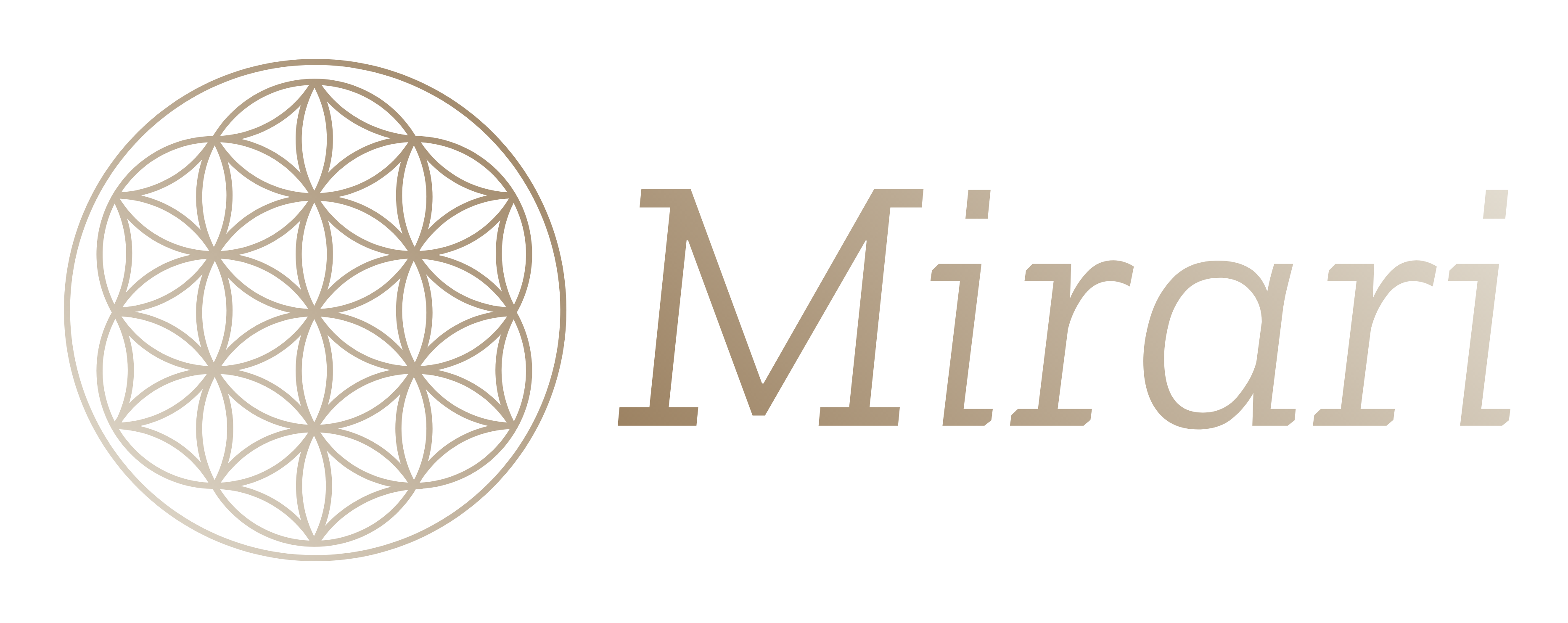 www.miraritrainingen.nl